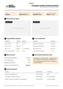 Aperçu du modèle de compte rendu